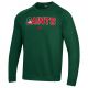 UA Mens All Day Crew - Forest